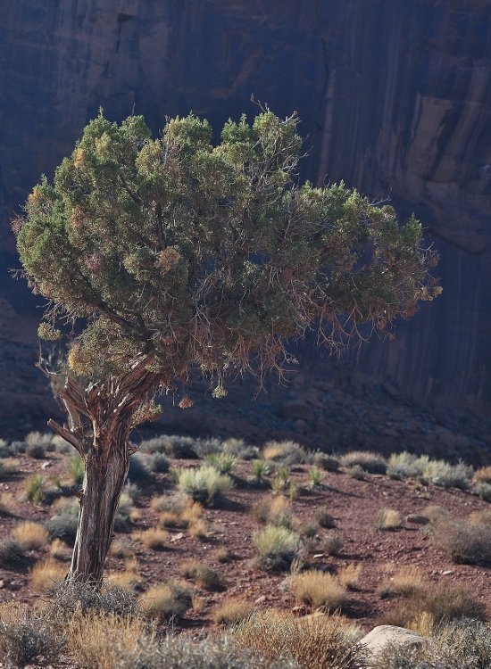 Monument Valley